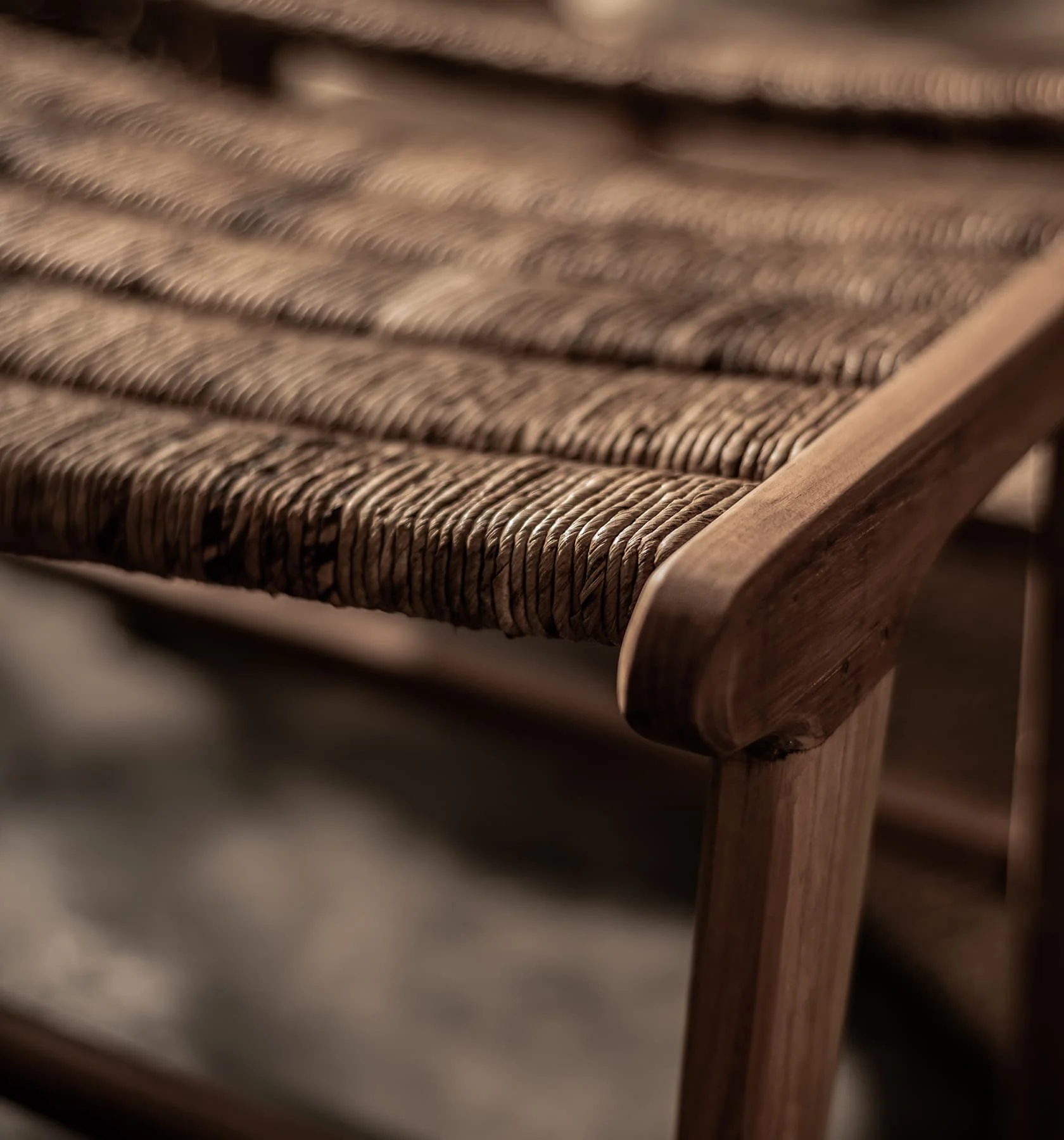 Caterpillar Beetle Footrest - Image 4