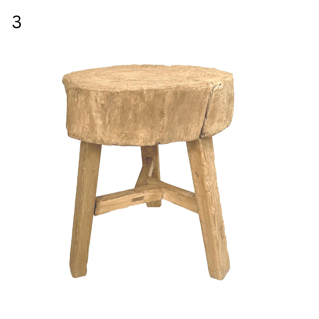 Elm Tree Trunk Side Table - Image 10