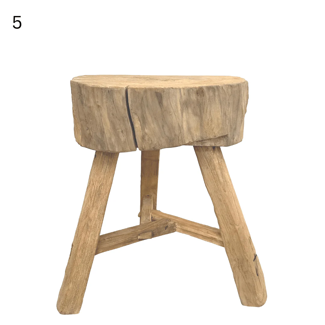 Elm Tree Trunk Side Table - Image 14