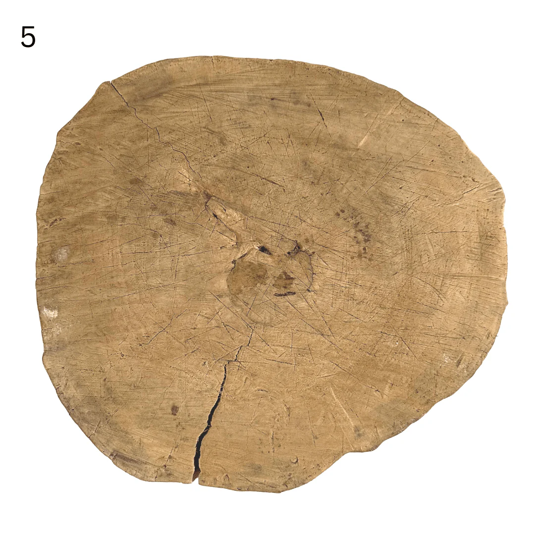 Elm Tree Trunk Side Table - Image 15