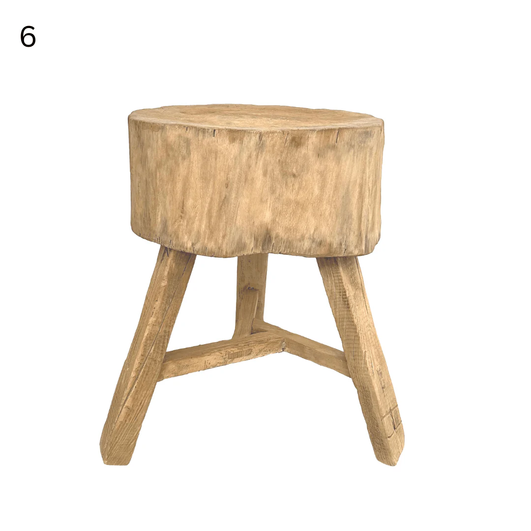 Elm Tree Trunk Side Table - Image 16