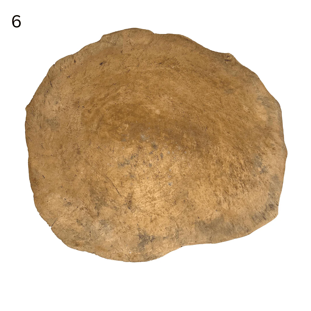 Elm Tree Trunk Side Table - Image 17