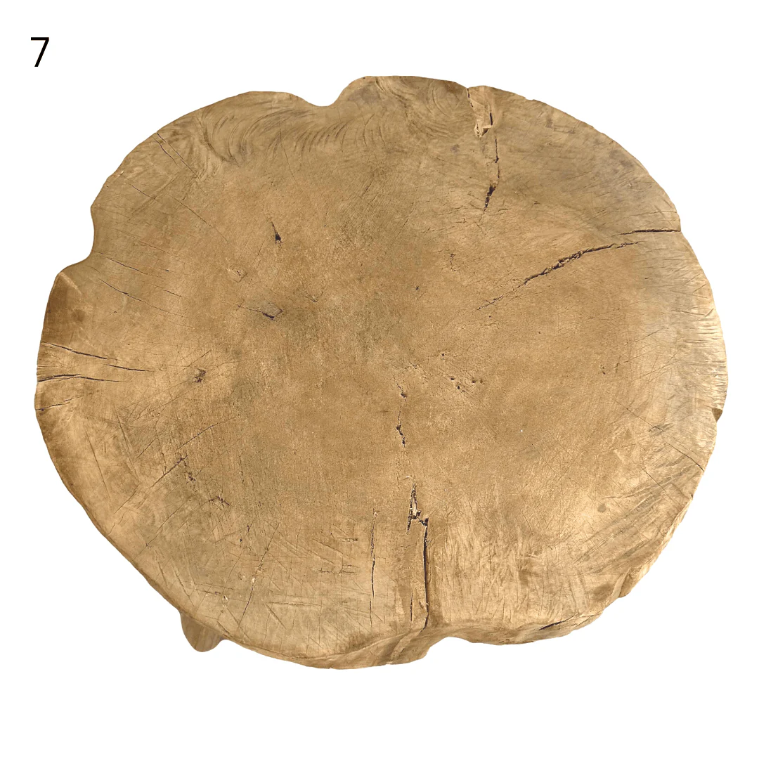 Elm Tree Trunk Side Table - Image 19