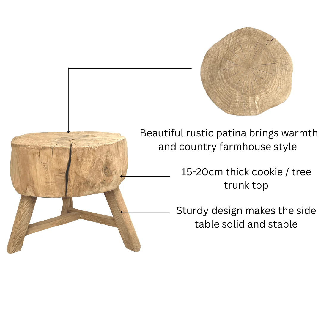 Elm Tree Trunk Side Table - Image 4