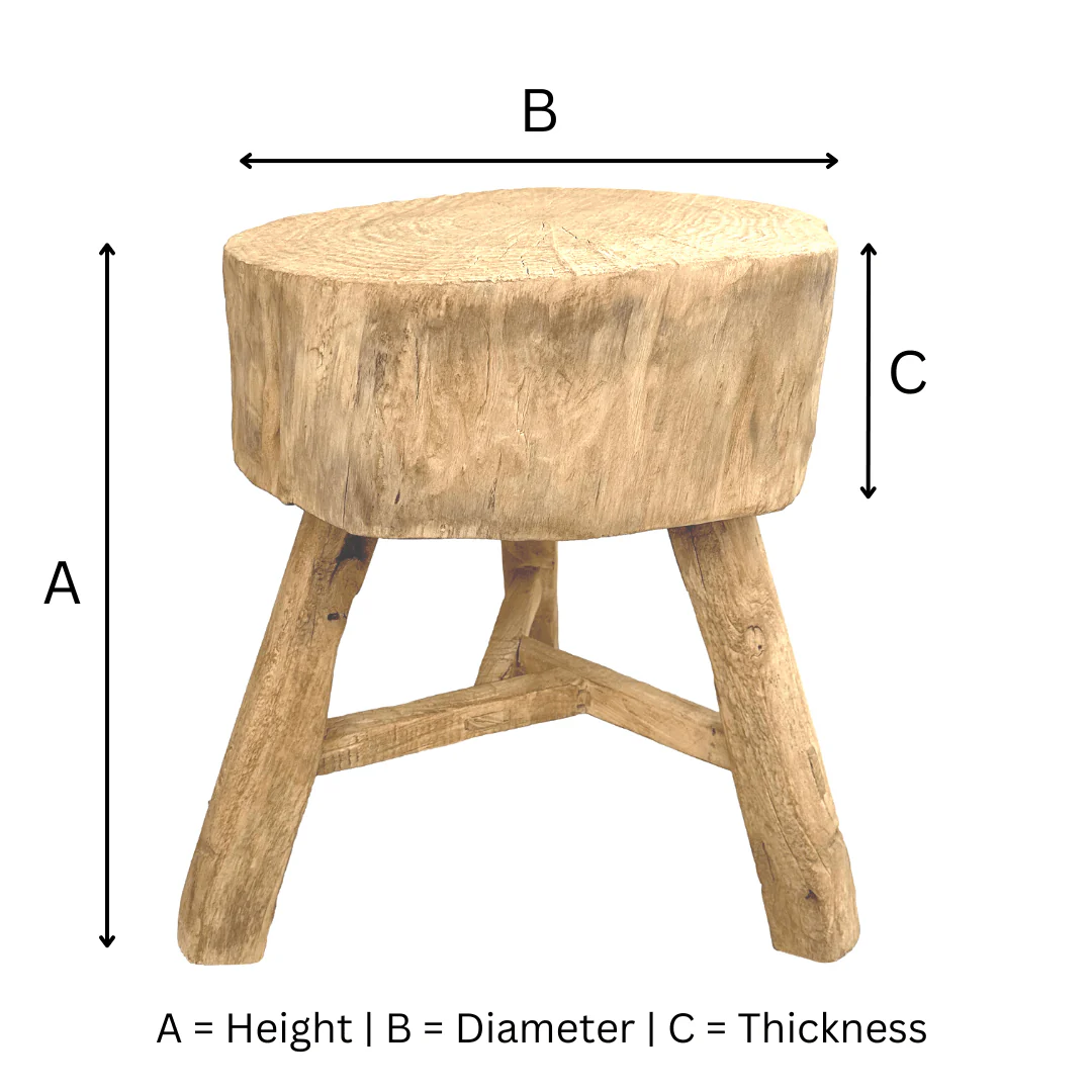 Elm Tree Trunk Side Table - Image 5