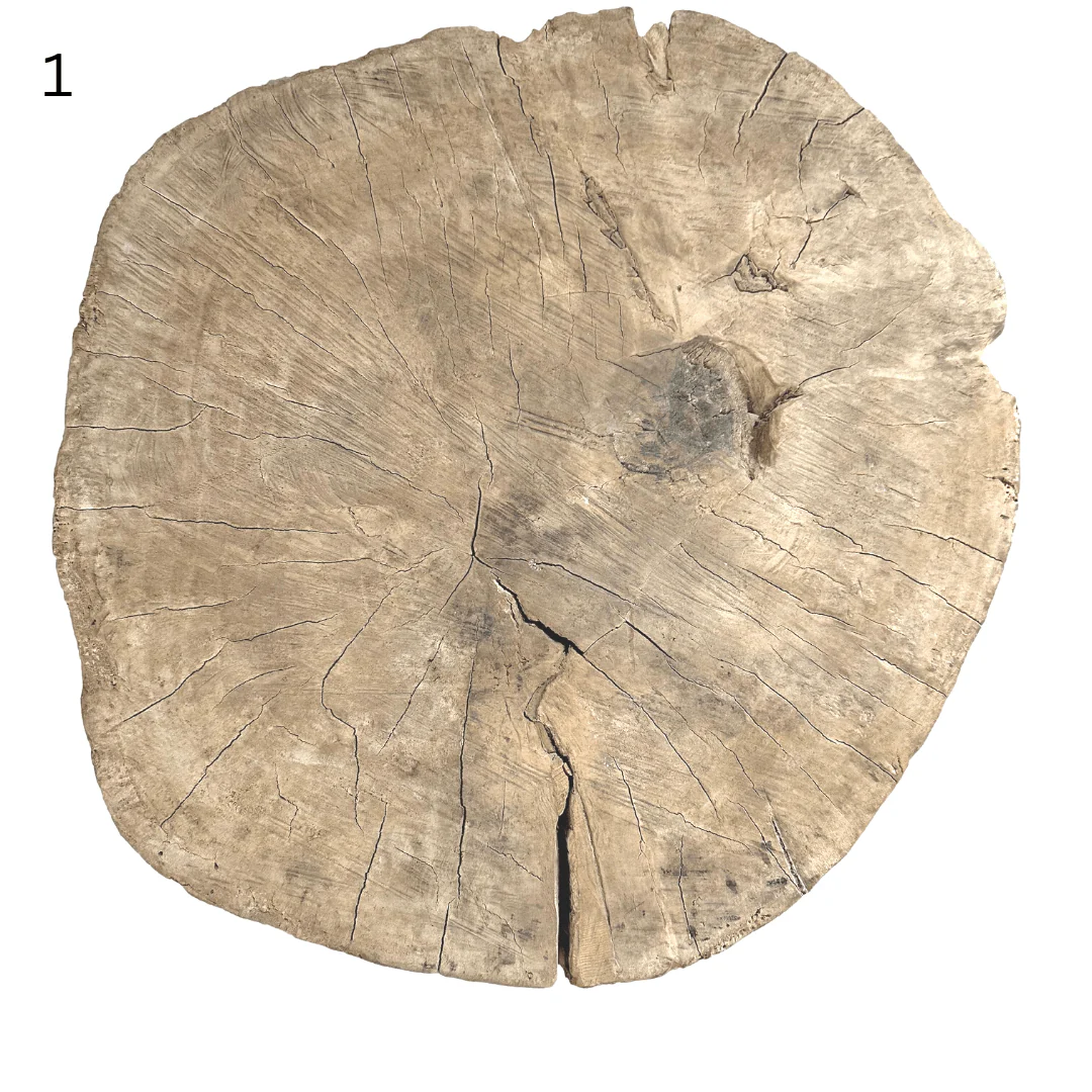 Elm Tree Trunk Side Table - Image 7