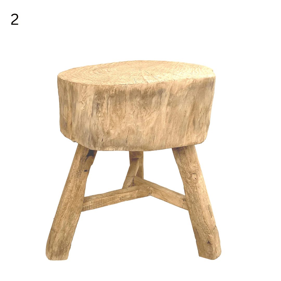 Elm Tree Trunk Side Table - Image 8