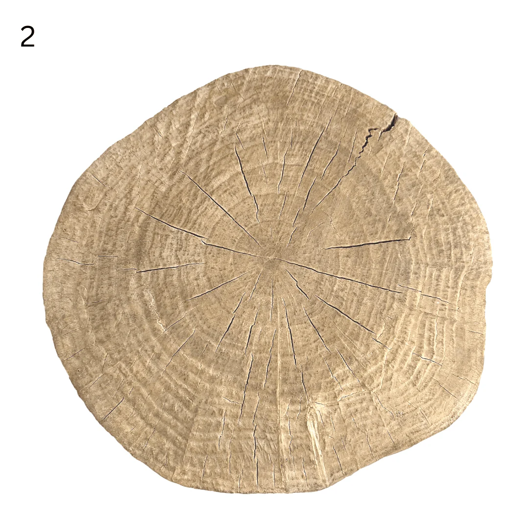 Elm Tree Trunk Side Table - Image 9