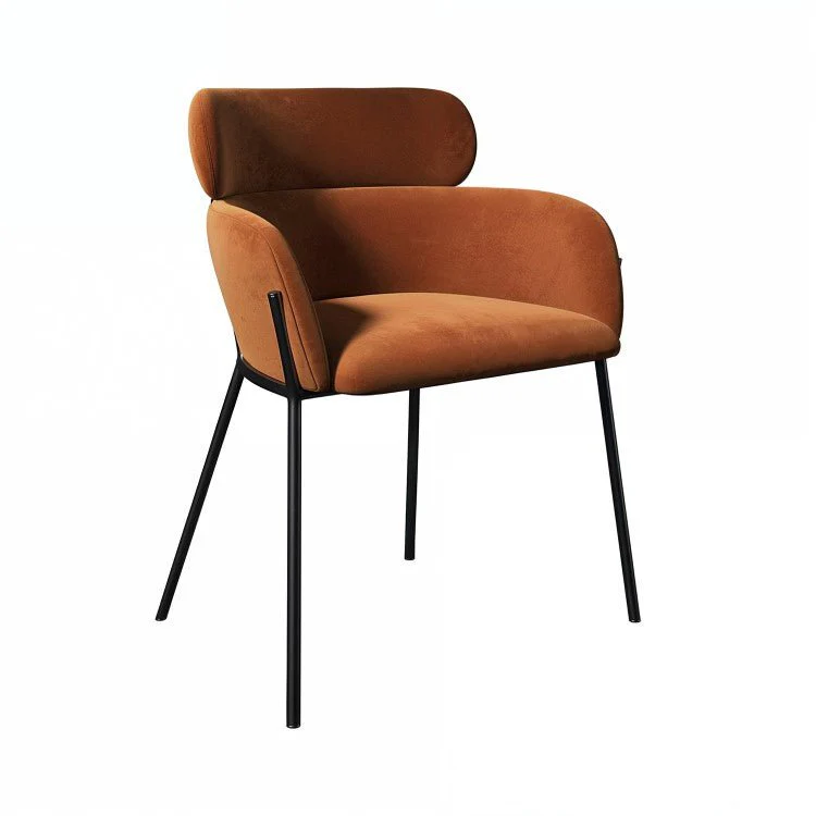 Set of Curved Isla High Quality Dining Chairs - Image 11